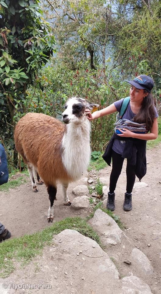 Álbum de fotos: Machu Picchu