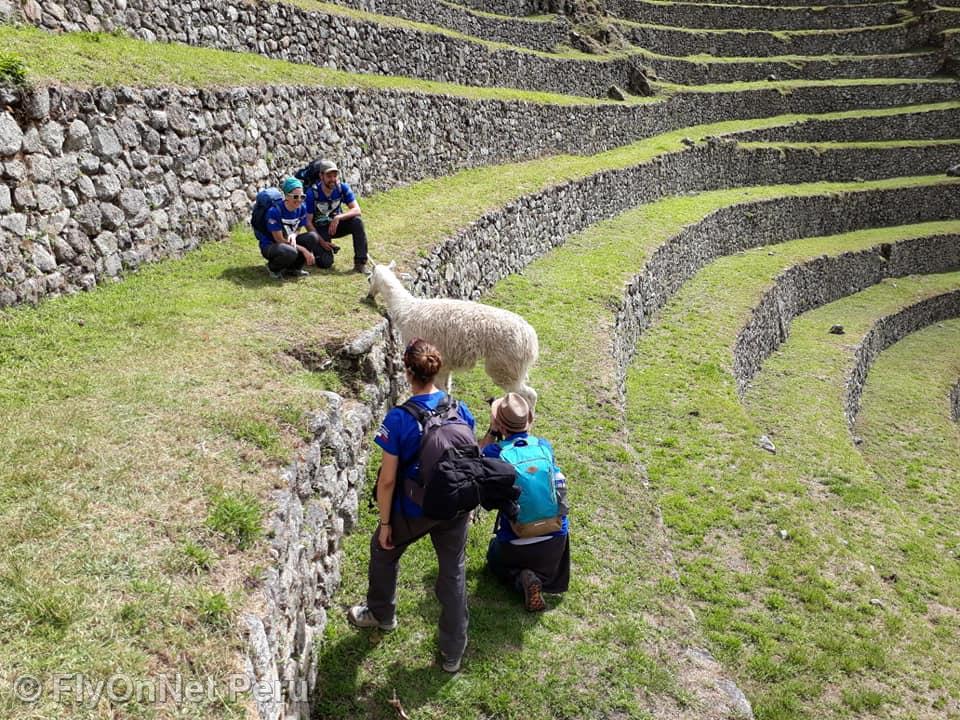 Álbum de fotos: Machu Picchu