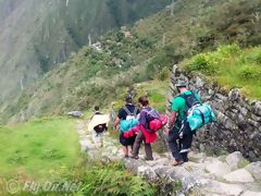 Camino Inca
