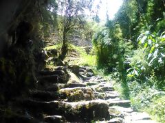 Camino Inca