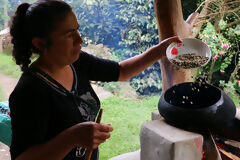 Visita del cafetal
