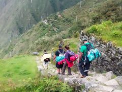 Camino Inca
