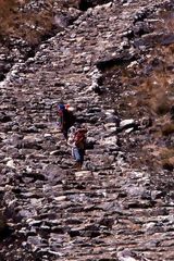 Camino Inca