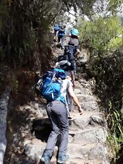 Camino Inca