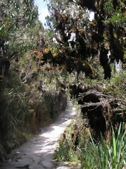 Camino Inca